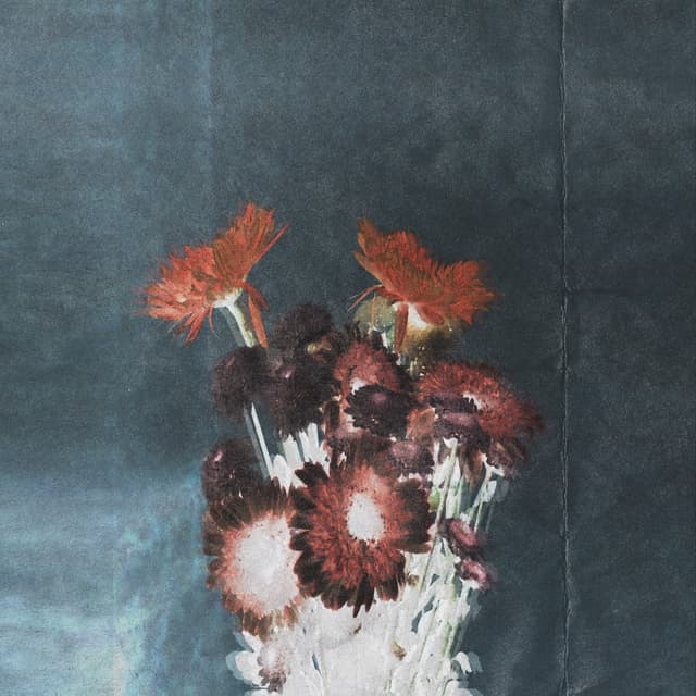 Album cover art for Partition