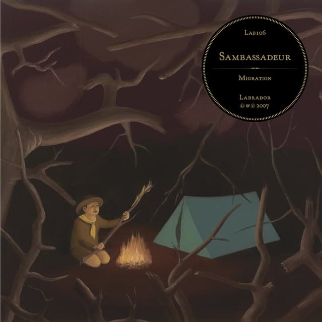 Album cover art for Migration