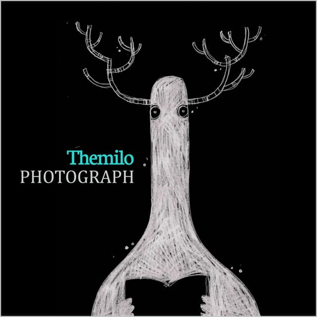 Album cover art for Photograph