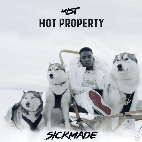 Album cover art for Hot Property