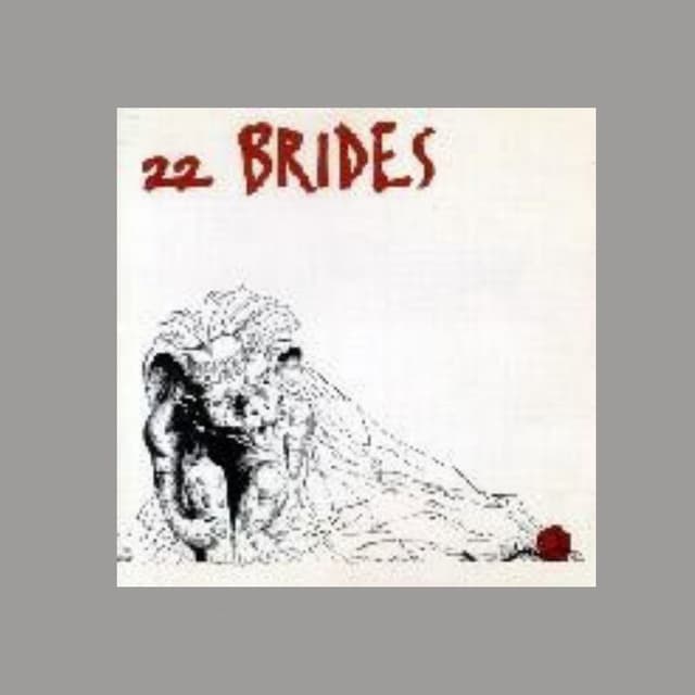 Album cover art for 22 Brides