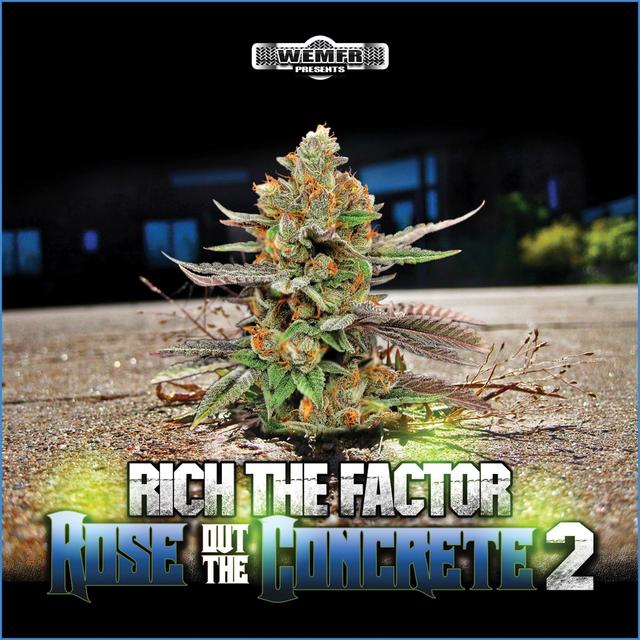 Album cover art for Rose Out the Concrete 2