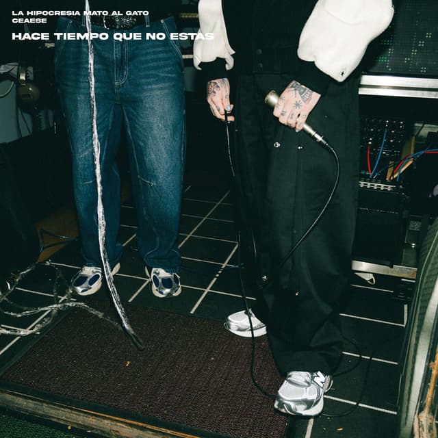 Album cover art for Hace Tiempo Que No Estás