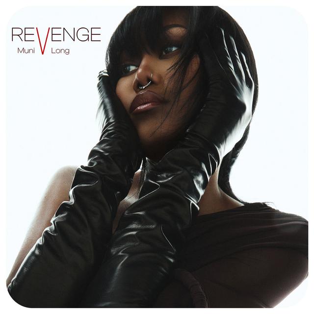 Album cover art for Revenge