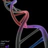 DNA