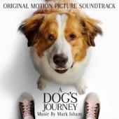Album cover art for A Dog's Journey