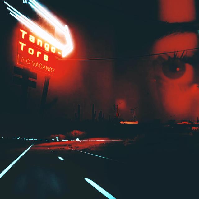 Album cover art for Lost Highway