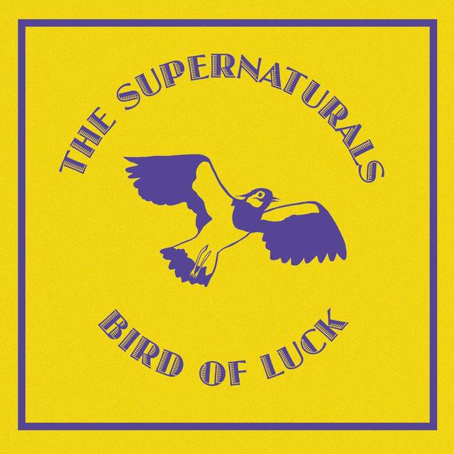 Album cover art for Bird of Luck