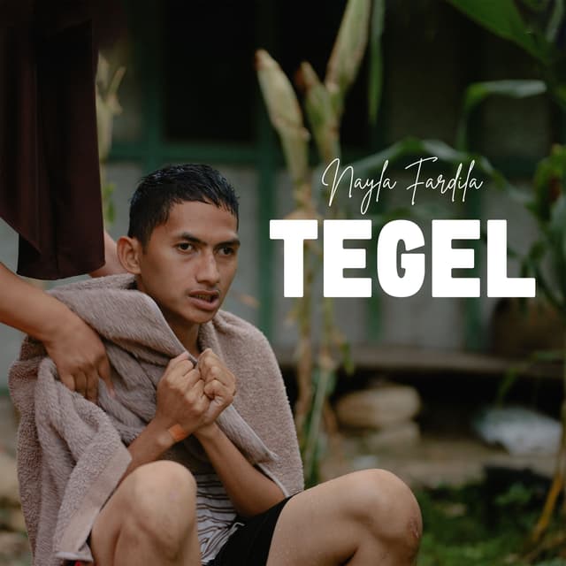 Album cover art for Tegel
