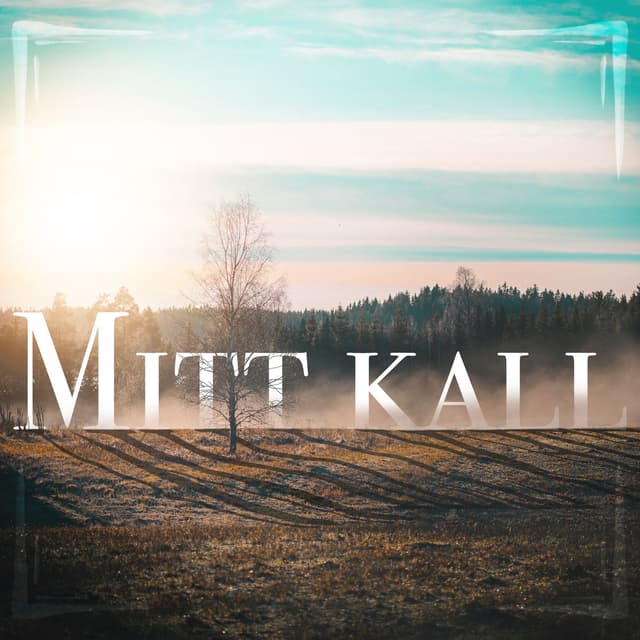 Album cover art for Mitt kall