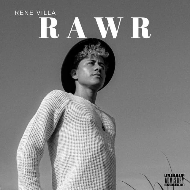 Album cover art for Rawr
