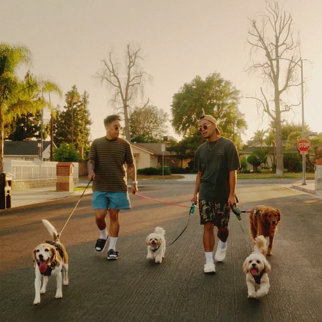 Album cover art for Everyday Feels Like Sunday
