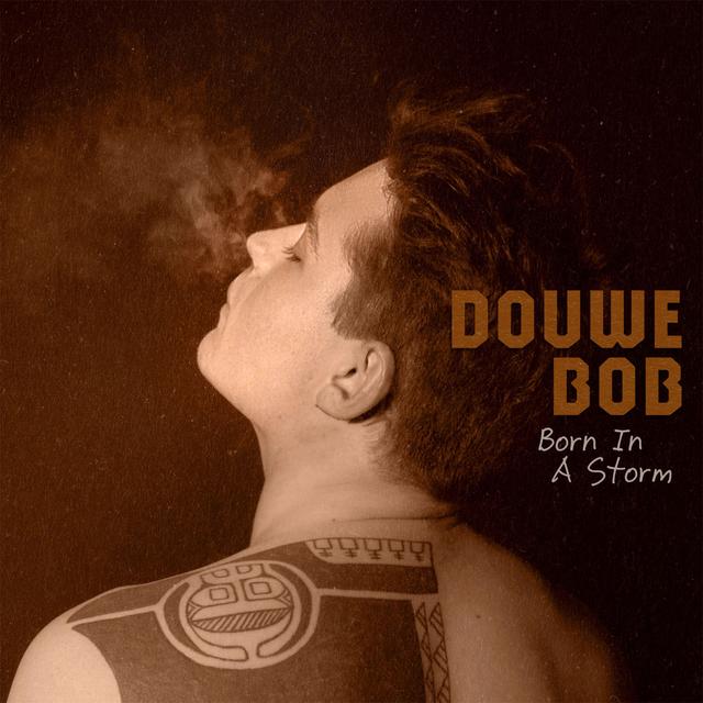 Album cover art for Born in a Storm