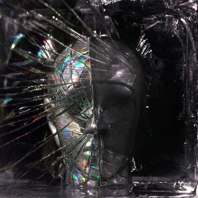 Album cover art for MALE NECESSARIO