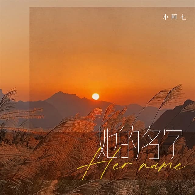 Album cover art for 她的名字