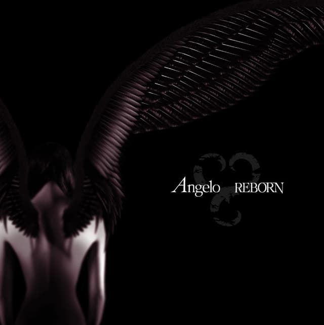 Album cover art for Reborn