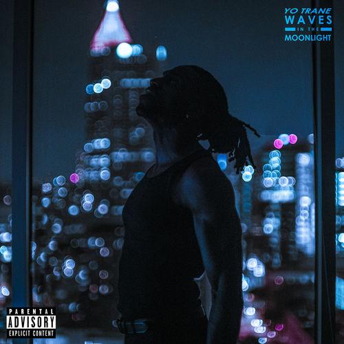 Album cover art for Waves In The Moonlight
