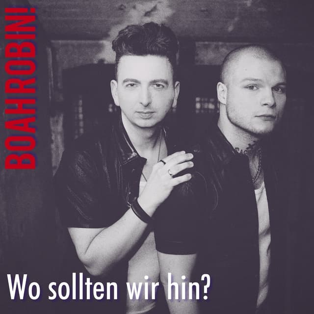 Album cover art for Wo Sollten Wir Hin?