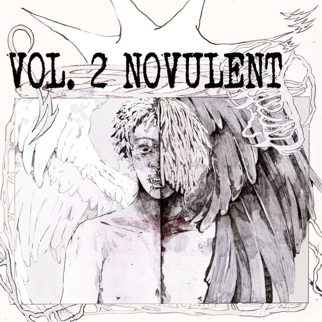 Album cover art for VOL. 2