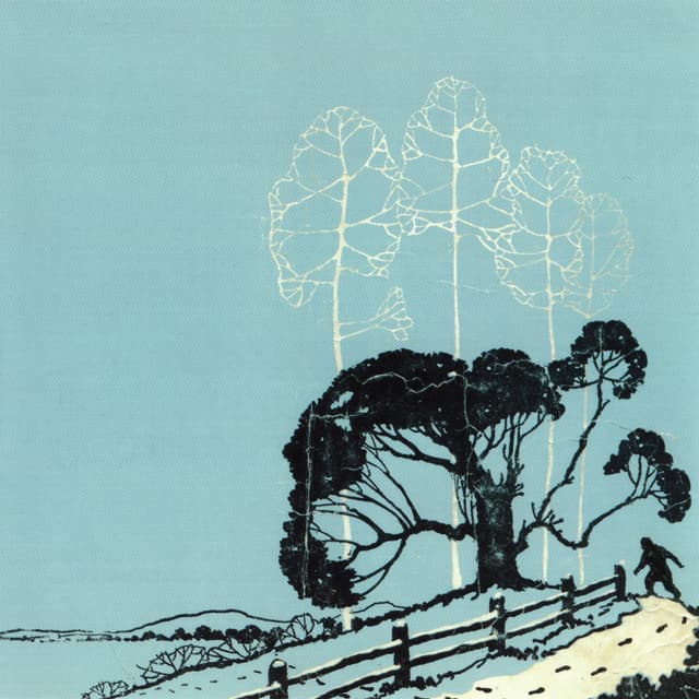 Album cover art for Return of the Kildeer