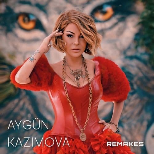 Album cover art for Remakes