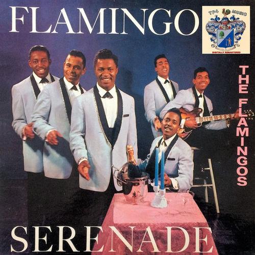 Album cover art for Flamingo Serenade