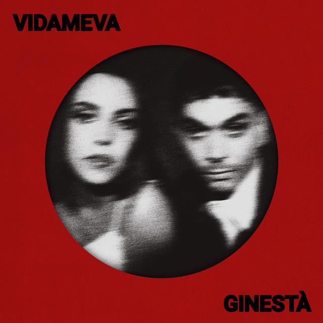 Album cover art for Vida meva