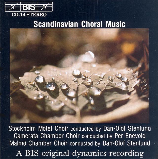 Album cover art for Scandinavian Choral Music