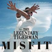 Album cover art for Misfit