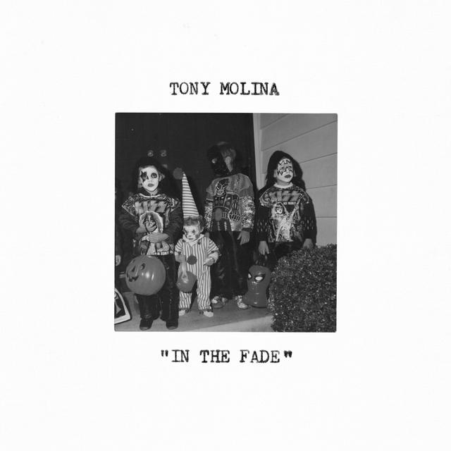 Album cover art for In the Fade
