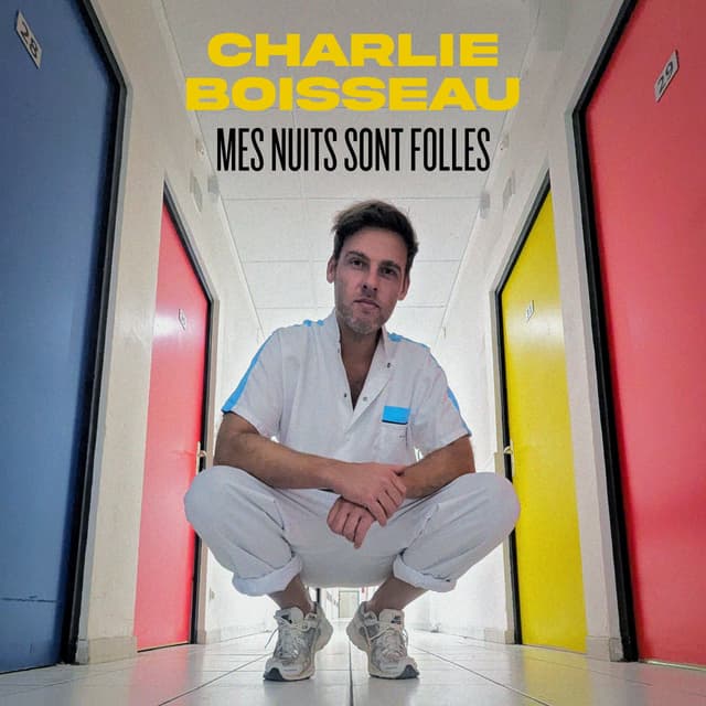Album cover art for Mes nuits sont folles