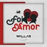Foi Amor