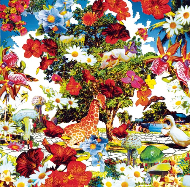 Album cover art for Wild Flowers