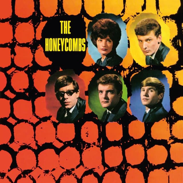 Album cover art for The Honeycombs