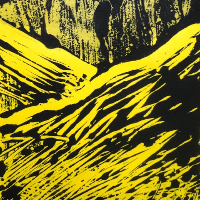 Album cover art for Paisajismo Nocturno