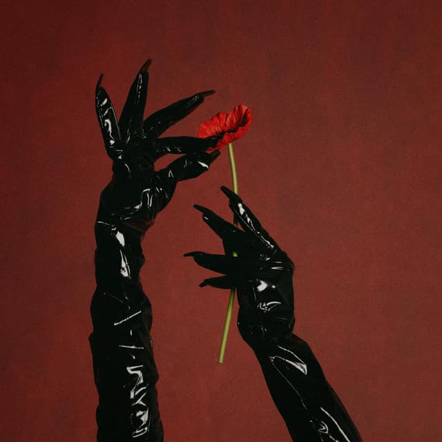 Album cover art for Amina