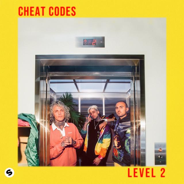 Album cover art for Level 2