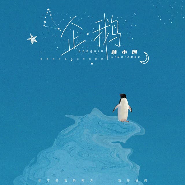 Album cover art for 企鹅
