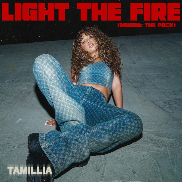 Album cover art for Light The Fire