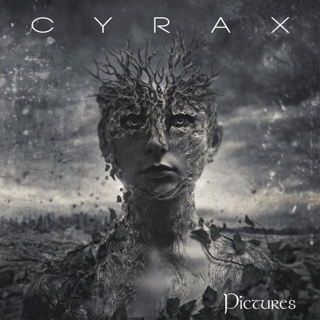 Album cover art for Pictures