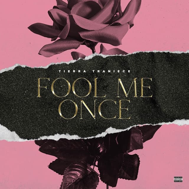 Album cover art for Fool Me Once