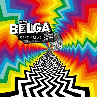 Album cover art for Stég FM 84.