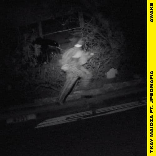 Album cover art for Awake