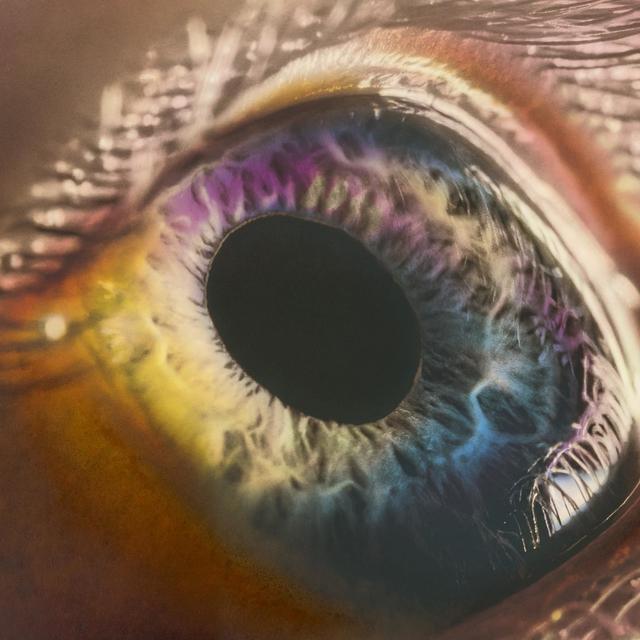 Album cover art for We