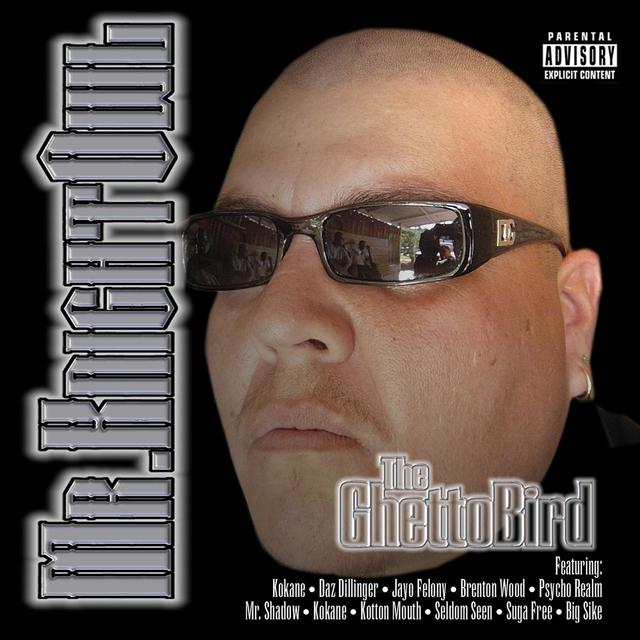 Album cover art for The Ghetto Bird
