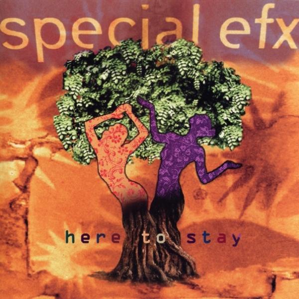 Album cover art for Here to Stay