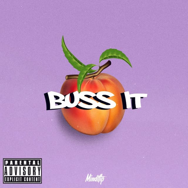 Album cover art for Buss It