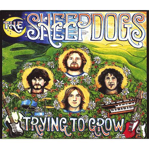 Album cover art for Trying to Grow