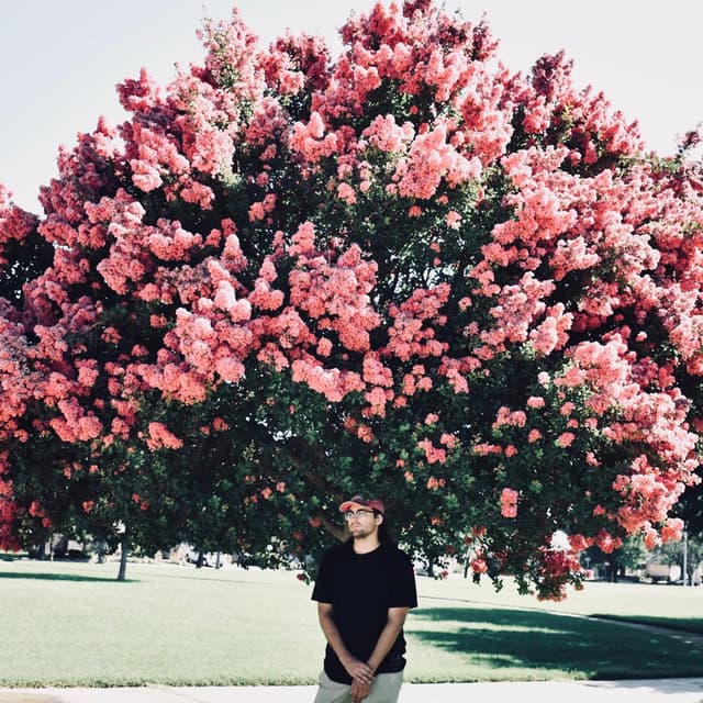 Album cover art for Some Other Light
