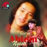 Pangeran Dangdut